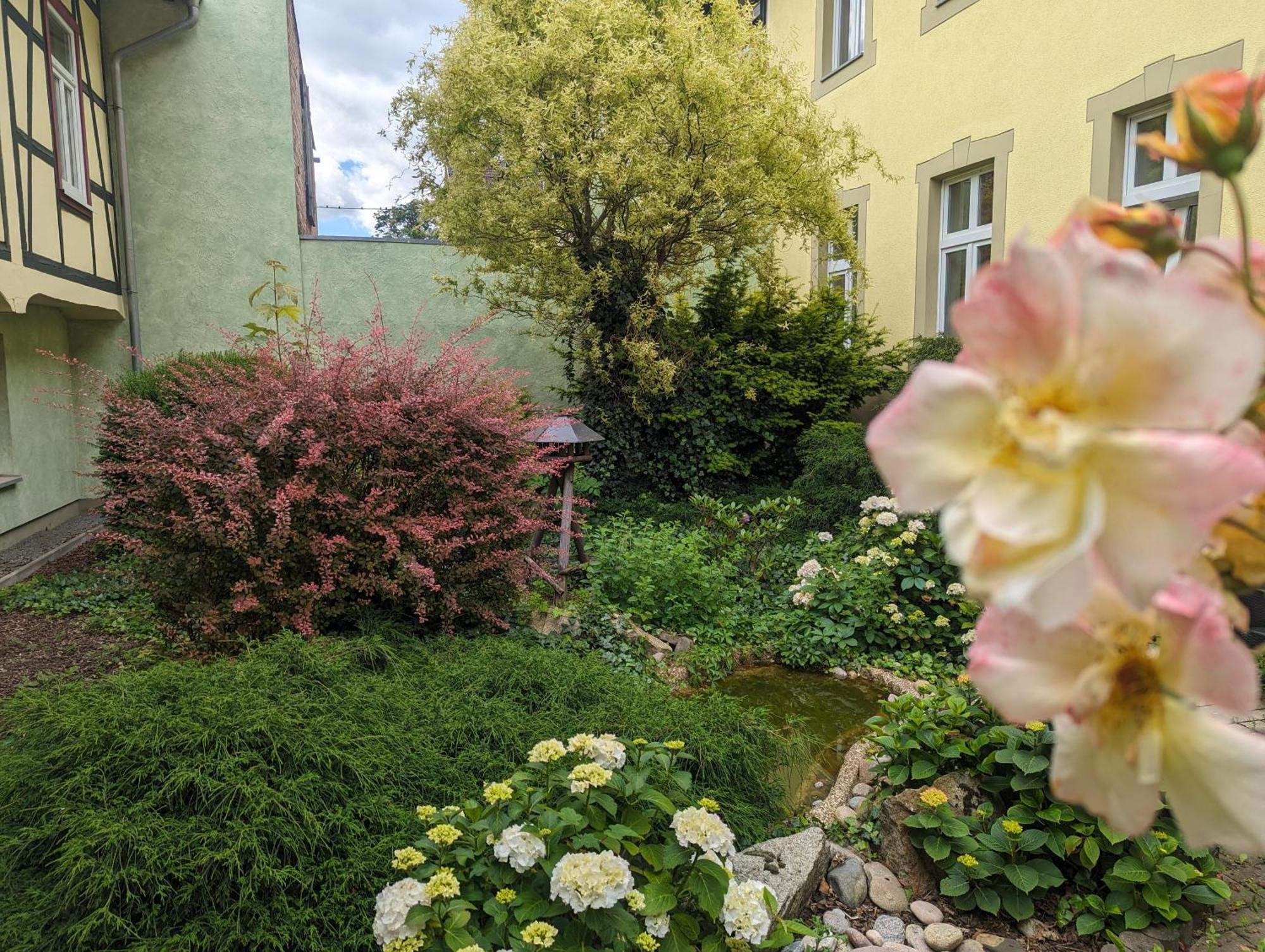 Ferienwohnungen An Der Bimmelbahn Wernigerode Dış mekan fotoğraf